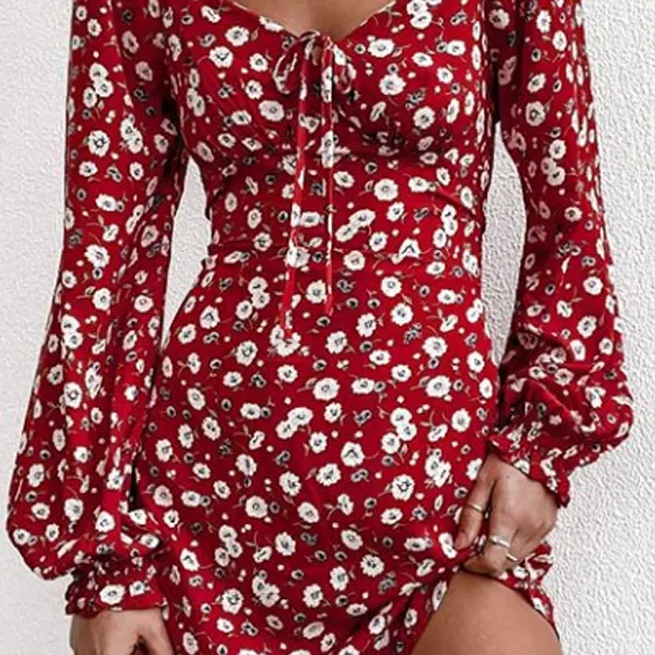 Printed round neck long sleeve lace-up dress - Leanarea.chimpone.com 