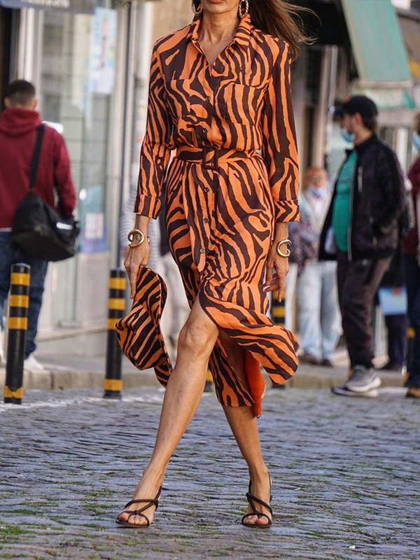 Ladies Elegant Fashion Print Dress