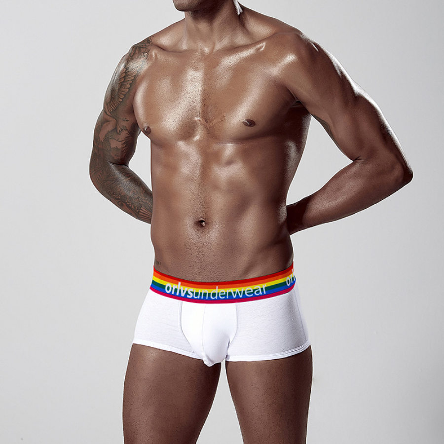 

Men's Sexy Low Waist Rainbow U Convex Pocket Underwear
