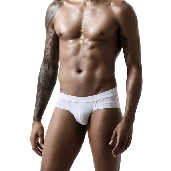 Men's Underwear U Convex Bag Modal Sexy Comfortable Briefs Large Low Waist Sweatpants - Menilyshop.com 