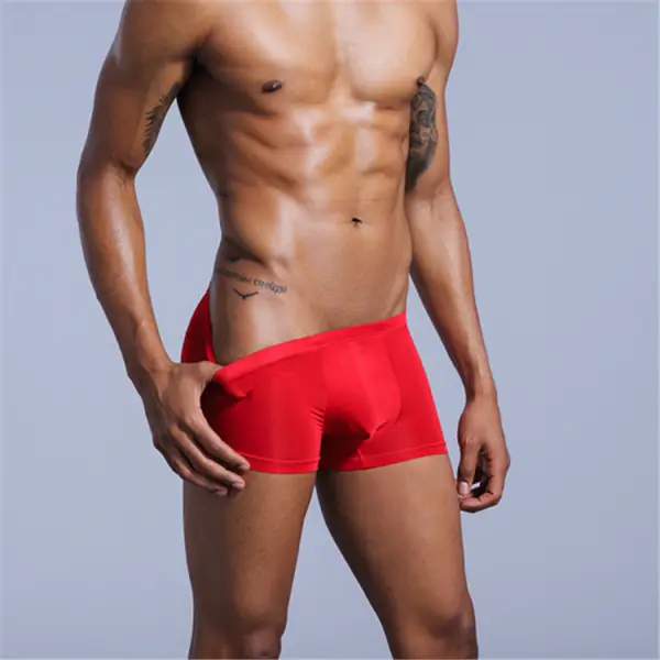 Men's Underwear Nylon Ice Silk Double-layer Large Bag Translucent Elastic Sexy Comfortable Boxer Pants - Fineyoyo.com 