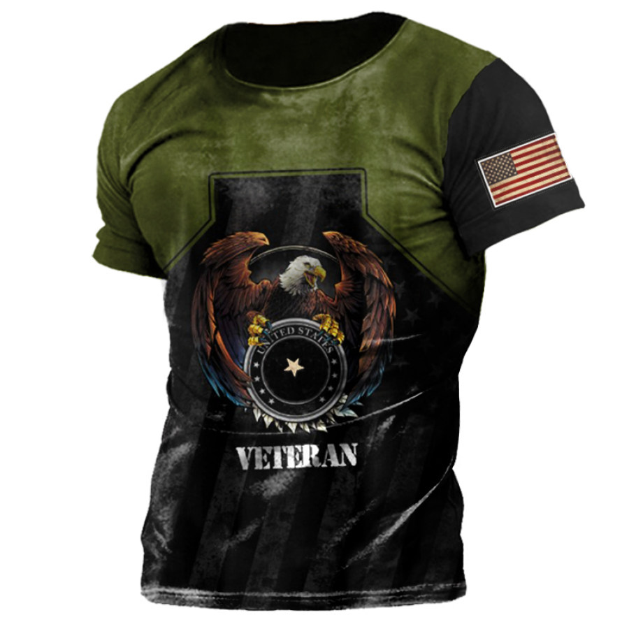 

Men's Colorblock Military American Eagle Veteran Print T-Shirt