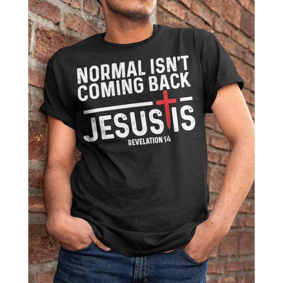 

Normal Isn't Coming Back Jesusis Revelata On 14 Men T-Shirt