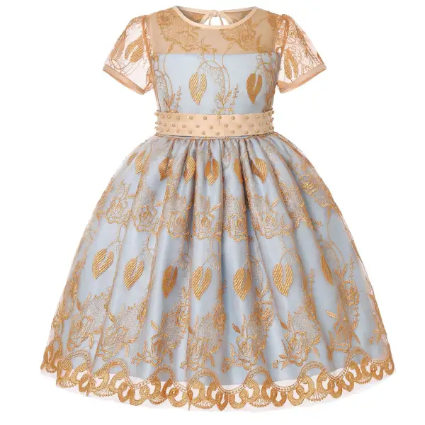 【3Y-11Y】Girls Golden Lace Short Sleeve Princess Dress - Popopiearab.com 