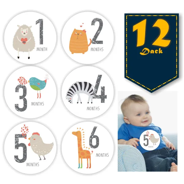 Baby Milestone Photo Commemorative Stickers December Sticker - Popopiestyle.com 