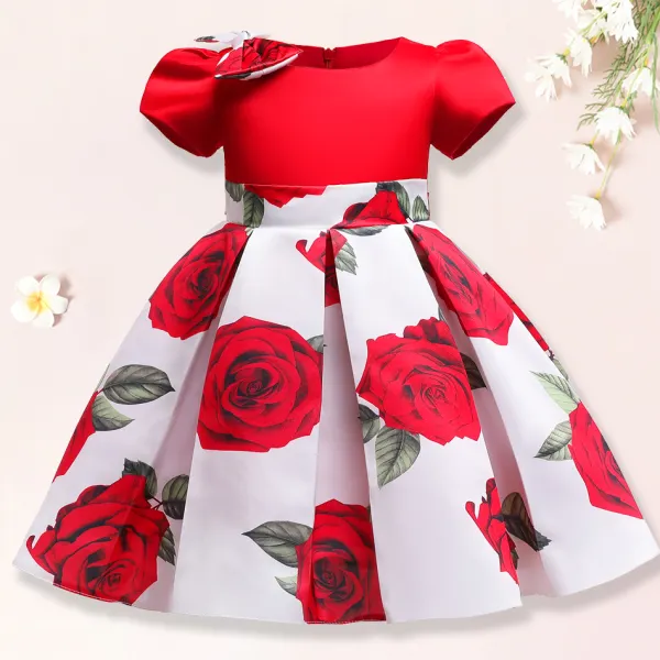 【2Y-10Y】Girl Sweet Rose Flower Print Dress - Popopiearab.com 