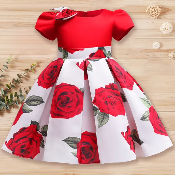 【2Y-10Y】Girl Sweet Rose Flower Print Dress - Thefolls.com 